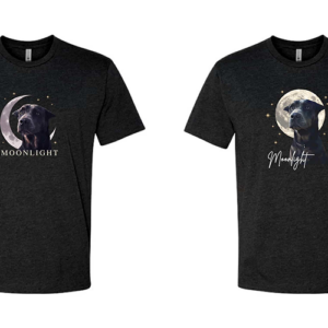 Limited Edition Moonlight unisex T-shirt